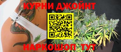 индика Бийск