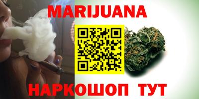 индика Бийск
