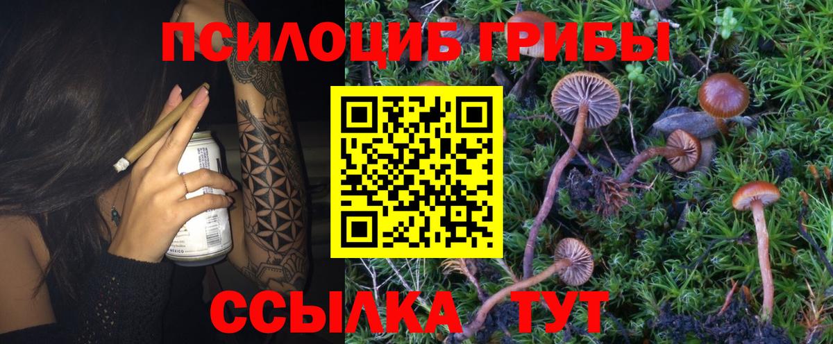 Лсд 25  Гашиш  Экстази  Меф МЯУ МЯУ   Вход с VPN  Кизилюрт  А ПВП СК кристаллы 