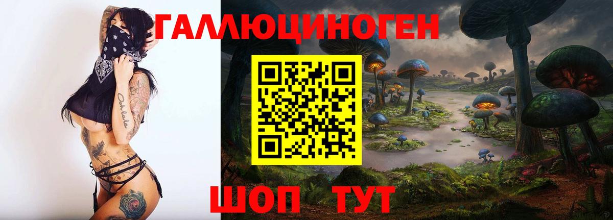 Псилоцибиновые грибы Psilocybine cubensis  Вход с VPN  Кизилюрт  Галлюциногенные грибы мицелий 