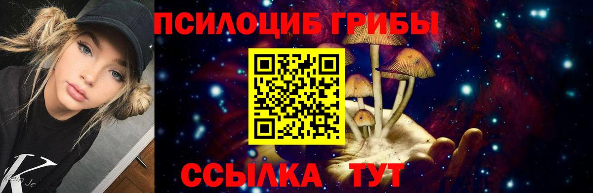 Псилоцибиновые грибы MAGIC MUSHROOMS Кизилюрт